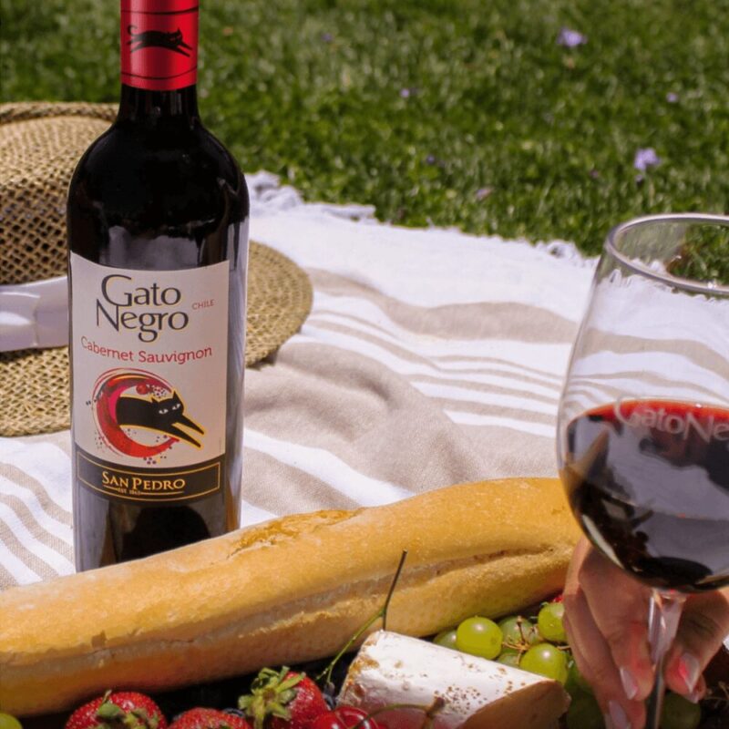 Más Allá del Precio: Descubriendo el Encanto y la Calidad del Icónico Vino Gato Negro - Entre Cocteles