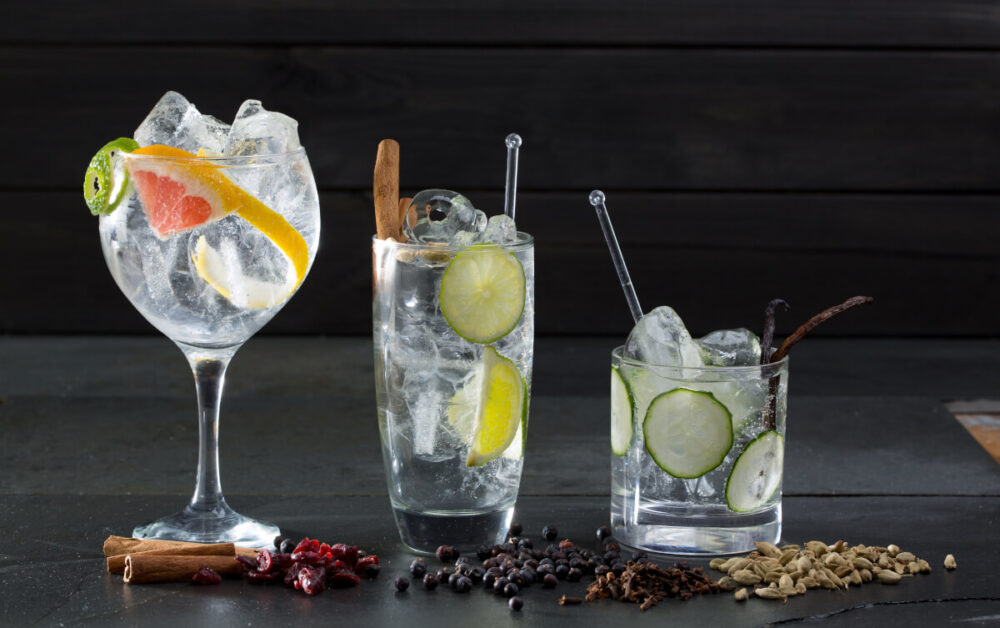 El Rey Refrescante: Dominando el Arte del Clásico Gin & Tonic - Entre Cocteles