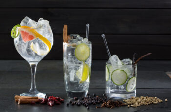 El Rey Refrescante: Dominando el Arte del Clásico Gin & Tonic - Entre Cocteles