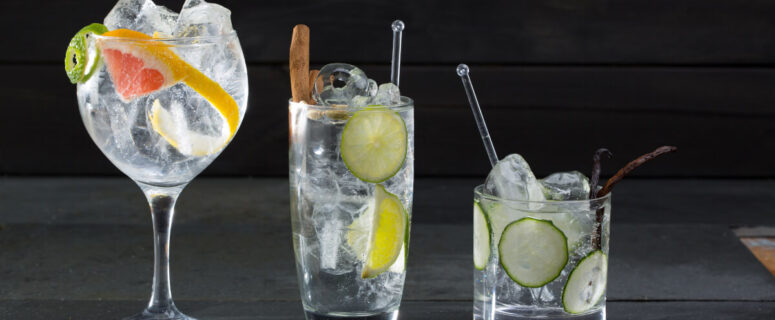 El Rey Refrescante: Dominando el Arte del Clásico Gin & Tonic - Entre Cocteles